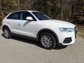 Audi Q3 2,0 TDI intro/Facelift Weiß - thumbnail 4