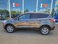 Ford Kuga 2.0 TDCI 120 CV S&S 2WD Powershift Business Grigio - thumbnail 7