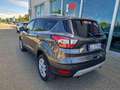 Ford Kuga 2.0 TDCI 120 CV S&S 2WD Powershift Business Grigio - thumbnail 6
