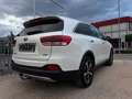 Kia Sorento Spirit 4WD,Leder,AHK,Xenon,Sitzbelüftung Alb - thumbnail 6