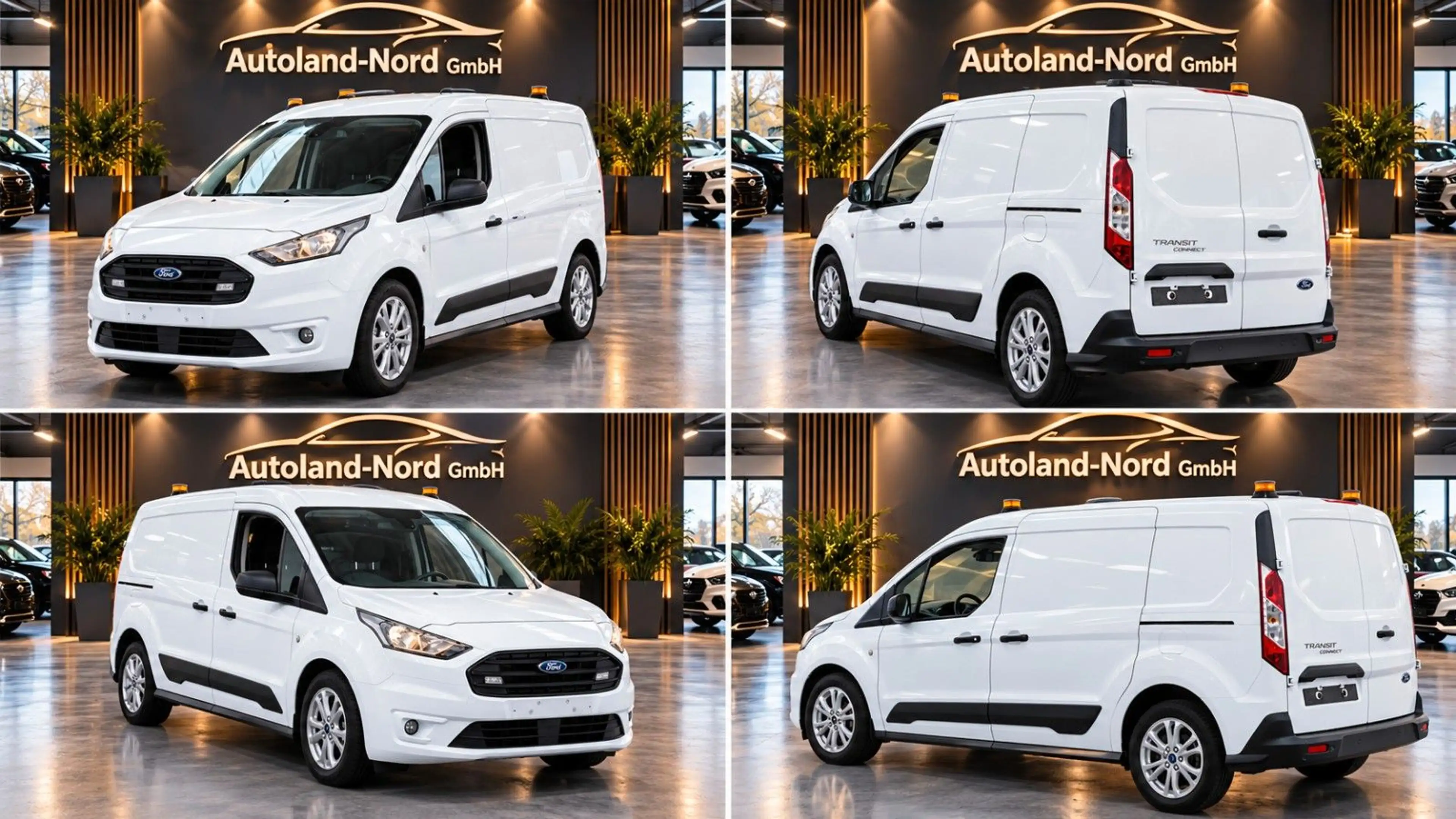 Ford Transit Connect 1.5TDCi*Regale*H.Flügeltür*Kamer — photo 3
