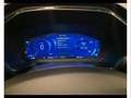 Ford Kuga 2.5 full hybrid st-line x 2wd 190cv cvt Grigio - thumbnail 13
