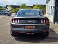 Ford Mustang GT 5.0 V8 421ch IMMAT ET ORIGINE FRANCE PAS DE MAL Gris - thumbnail 4