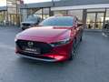 Mazda 3 SKYACTIV-X Selection,Design+Premium-Paket,Leder,Ga Red - thumbnail 1