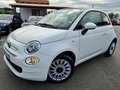 Fiat 500 1.2 69cv Blanco - thumbnail 1