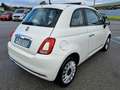 Fiat 500 1.2 69cv Blanco - thumbnail 6