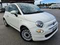 Fiat 500 1.2 69cv Blanco - thumbnail 3