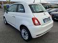 Fiat 500 1.2 69cv Blanco - thumbnail 4