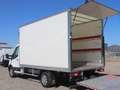 Ford Transit Transit Ladebordwand/€ 24.900,-netto/Koffer TEL Weiß - thumbnail 4