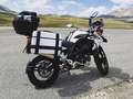 Benelli TRK 502 X Weiß - thumbnail 6