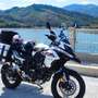 Benelli TRK 502 X Weiß - thumbnail 4