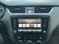 Skoda Octavia Wagon 1.5 G-tec Ambition 130cv DSG 80.000KM!!! Zilver - thumbnail 14