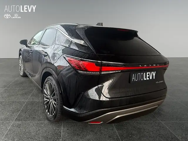 Lexus RX view 4