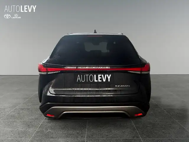 Lexus RX view 5