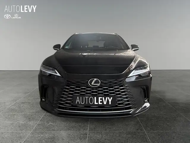 Lexus RX view 8