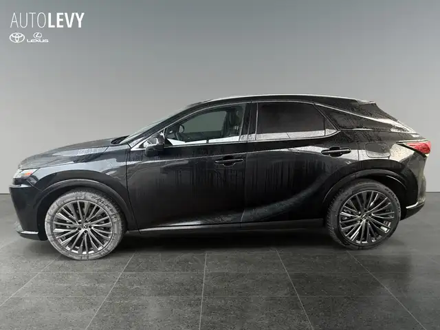 Lexus RX view 3