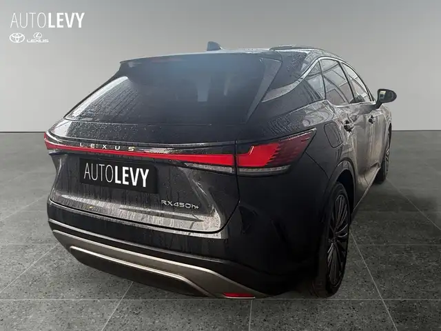 Lexus RX view 6