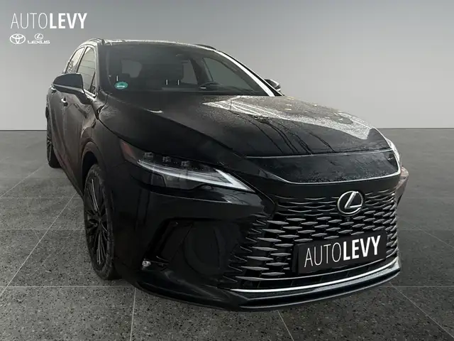 Lexus RX view 7