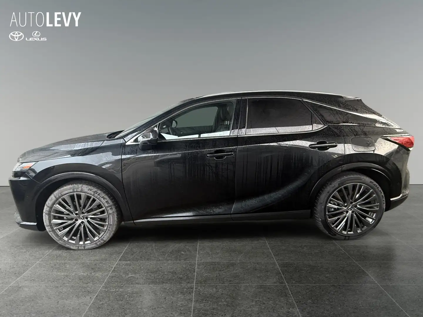 Lexus RX 450h + E-Four Luxury Line 360 4xElSitz 4xSHZ Schwarz - 2