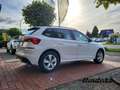 Skoda Kamiq Active 1.6 TDI EU6d-T LED DAB SHZ Spurhalteass. No Weiß - thumbnail 4