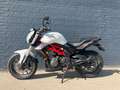Benelli BN 302 Blanc - thumbnail 5