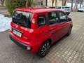 Fiat Panda FireFly Hybrid 70 Rot - thumbnail 3