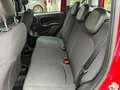 Fiat Panda FireFly Hybrid 70 Rot - thumbnail 8