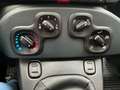 Fiat Panda FireFly Hybrid 70 Rot - thumbnail 15