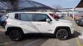 Jeep Renegade Renegade 1.0 t3 Longitude 2wd White - thumbnail 4