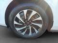Ford Focus Turnier 1.0 EcoBoost Hybrid Aut. TITANIUM X Weiß - thumbnail 25