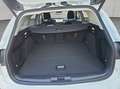 Ford Focus Turnier 1.0 EcoBoost Hybrid Aut. TITANIUM X Weiß - thumbnail 5