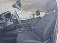Ford Focus Turnier 1.0 EcoBoost Hybrid Aut. TITANIUM X Weiß - thumbnail 10
