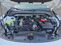 Ford Focus Turnier 1.0 EcoBoost Hybrid Aut. TITANIUM X Weiß - thumbnail 22