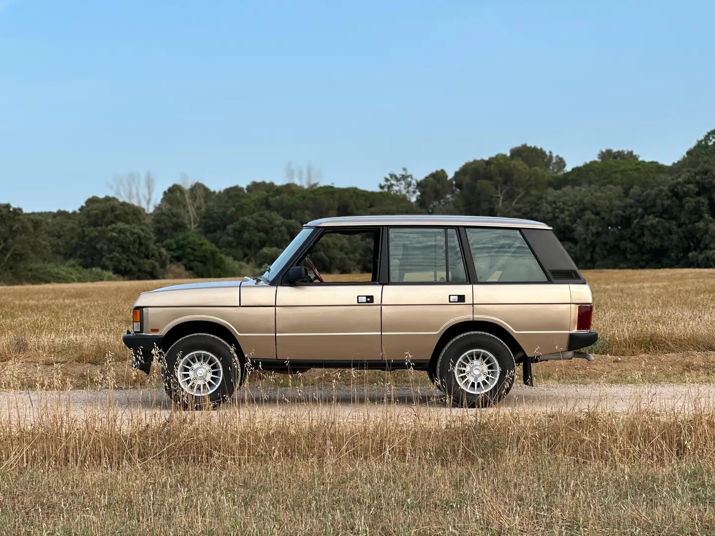 Land Rover Range Rover 3.9 Vogue SE - 2