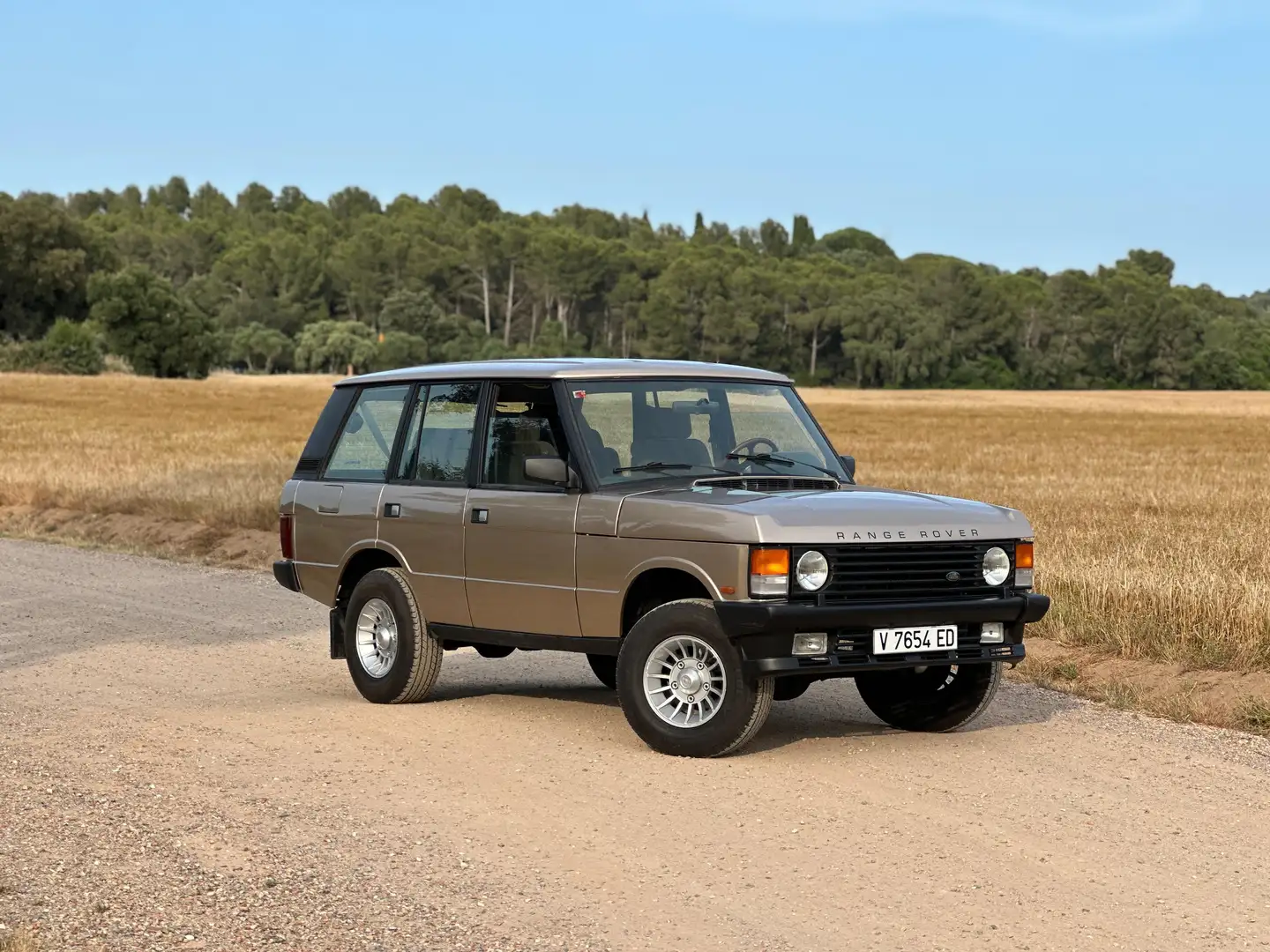 Land Rover Range Rover 3.9 Vogue SE - 1
