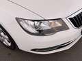 Skoda Superb Combi 1.6 TDI Ambition SITZHZG TEMPOMAT Weiß - thumbnail 12