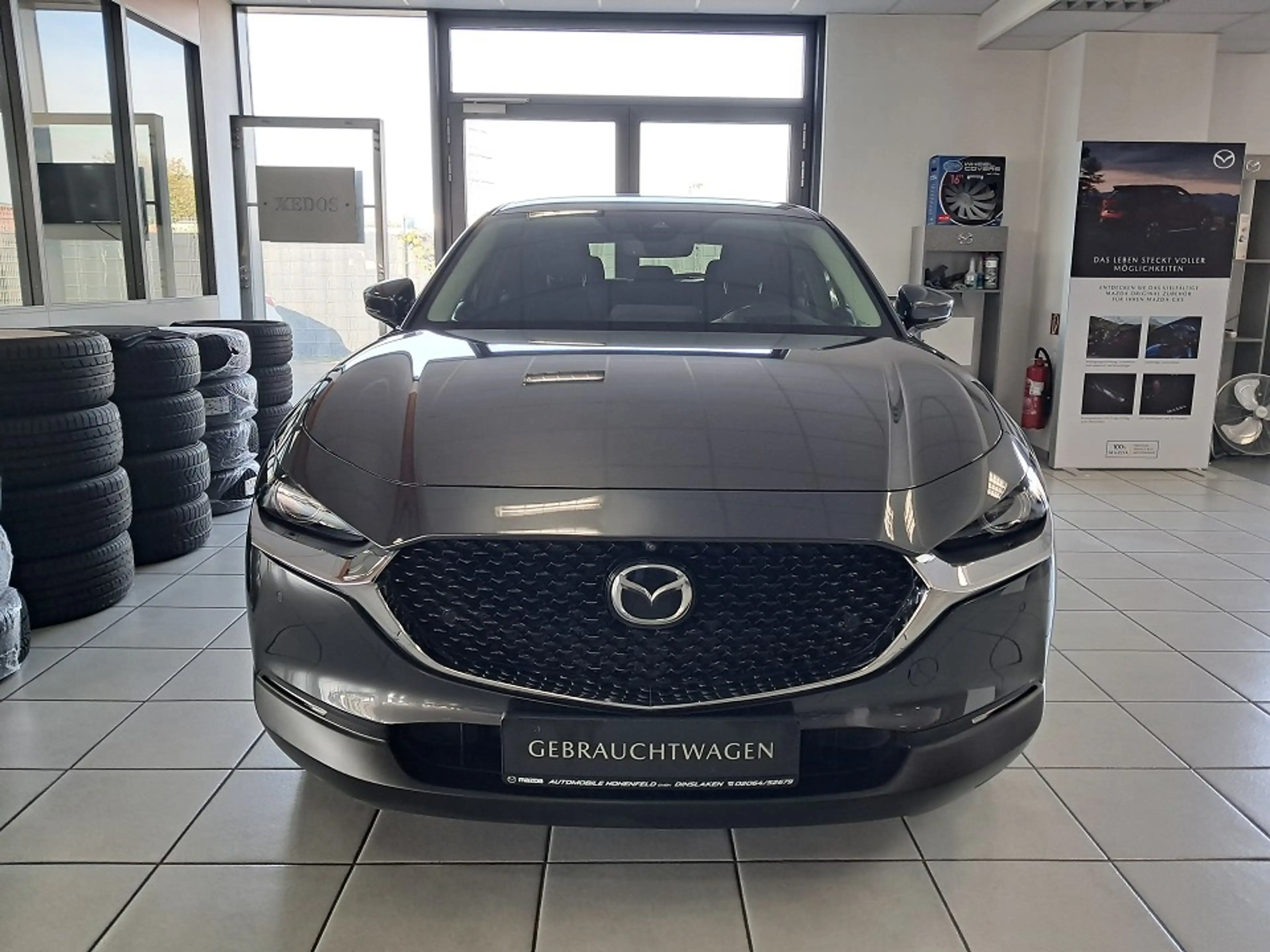 Mazda CX-30 122PS Selection + Des.-P. + Prem.-P. — photo 4