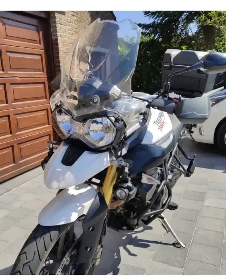 Triumph Tiger 800 Blanc - 2