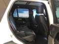 Land Rover Range Rover 4ªserie 3.0D l6 Vogue - thumbnail 9