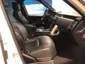 Land Rover Range Rover 4ªserie 3.0D l6 Vogue - thumbnail 7