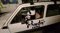 Fiat Panda Panda 1.0 4x4 my83 Bílá - thumbnail 6