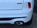 Ford Kuga 2.5 PHEV ST-Line | Camera v+a | Adaptive Cruise | Wit - thumbnail 14