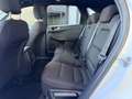 Ford Kuga 2.5 PHEV ST-Line | Camera v+a | Adaptive Cruise | Wit - thumbnail 18