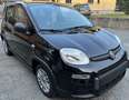 Fiat Panda 1.0 70cv Hybrid - NO VINCOLI!! Zwart - thumbnail 2