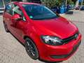 Volkswagen Golf Plus VI Comfortline 1.4 Rosso - thumbnail 4