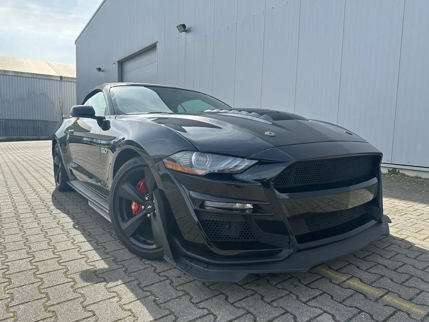 Ford Mustang Cabrio 5.0 V8 GT Shelby GT500 Cabrio LED Black - 1