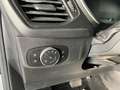 Ford Focus 1.5 EcoBlue 120 CV automatico SW Business Co-Pilot Bianco - thumbnail 13