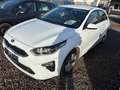 Kia Sonstige Ceed Edition 7 Weiß - thumbnail 7