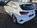 Kia Sonstige Ceed Edition 7 Weiß - thumbnail 6