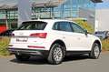 Audi Q5 40TDI qu S-tronic AHK NAVI+ VC SPORTSITZE Weiß - thumbnail 30
